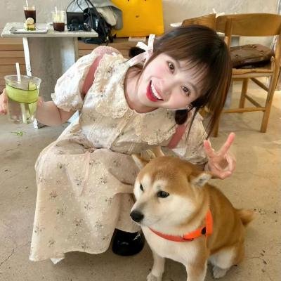 许纯纯的茶花运